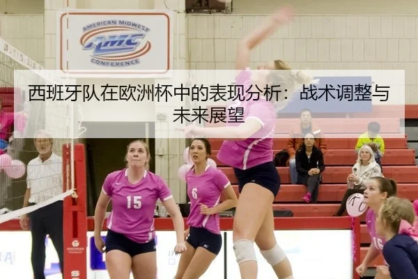 西班牙队在欧洲杯中的表现分析：战术调整与未来展望