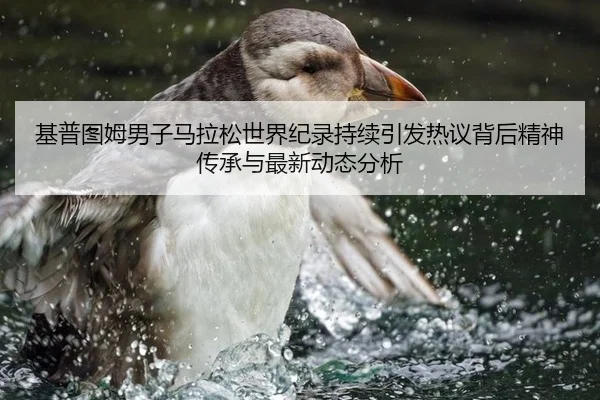 基普图姆男子马拉松世界纪录持续引发热议背后精神传承与最新动态分析